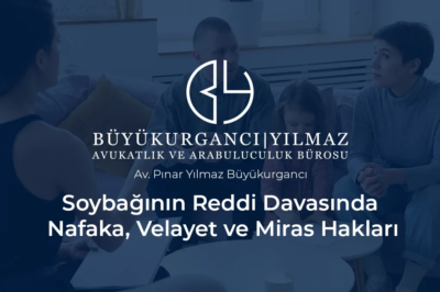 soybağının reddi davasında nafaka velayet ve miras hakları